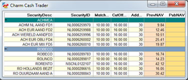 Net Asset Value